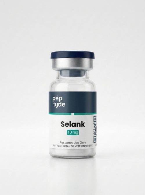 studio-selank